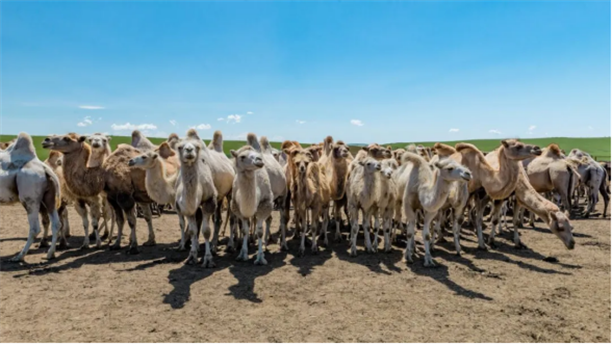 1744594825178749.png 图片16.png