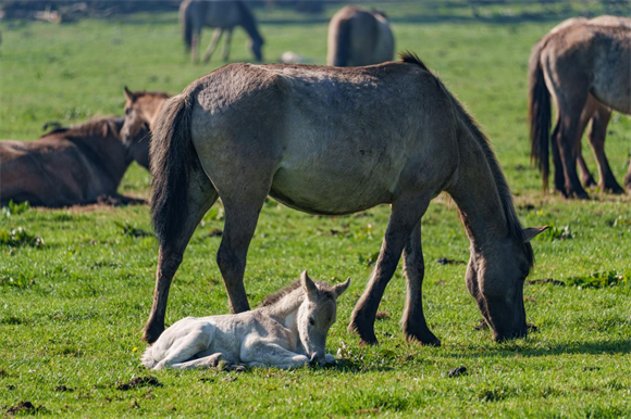 1757553346374529.png 图片2.png