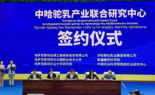 1757905404676089.png 图片7.png