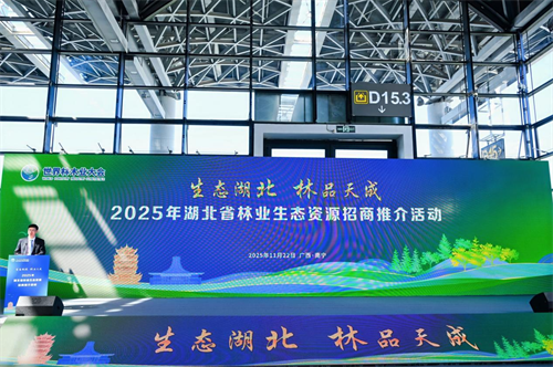 1764295127688328.png 图片15.png