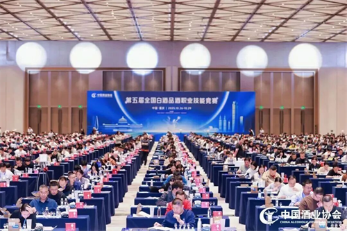 1766383093945065.png mtxx01.png