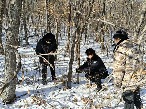 宝清县林草局开展&ldquo;巡山清套清网清夹&rdquo;专项行动