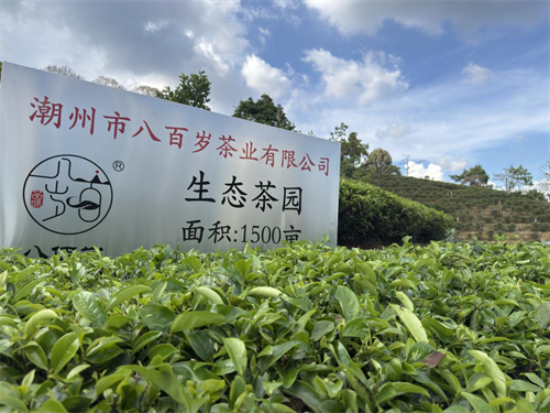 1769162187697623.png 图片3.png