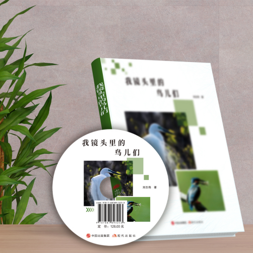 1769592311648480.png image.png