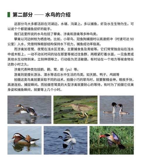 1769592298280084.png image.png