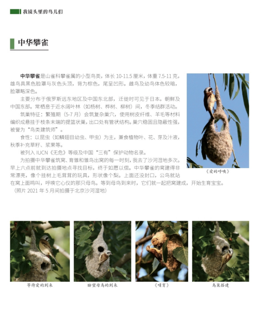 1769592302472751.png image.png