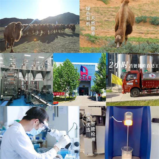 军农集团“家乐健”配方骆驼乳粉，以兵团硬实力铸就驼奶新标杆