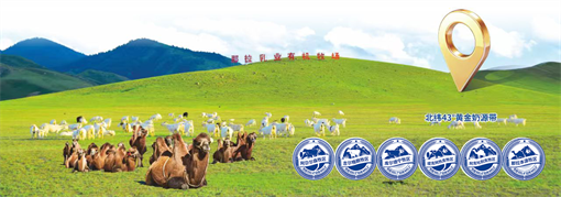 远赴新疆，只为寻迹“那拉驼奶”的纯净源头